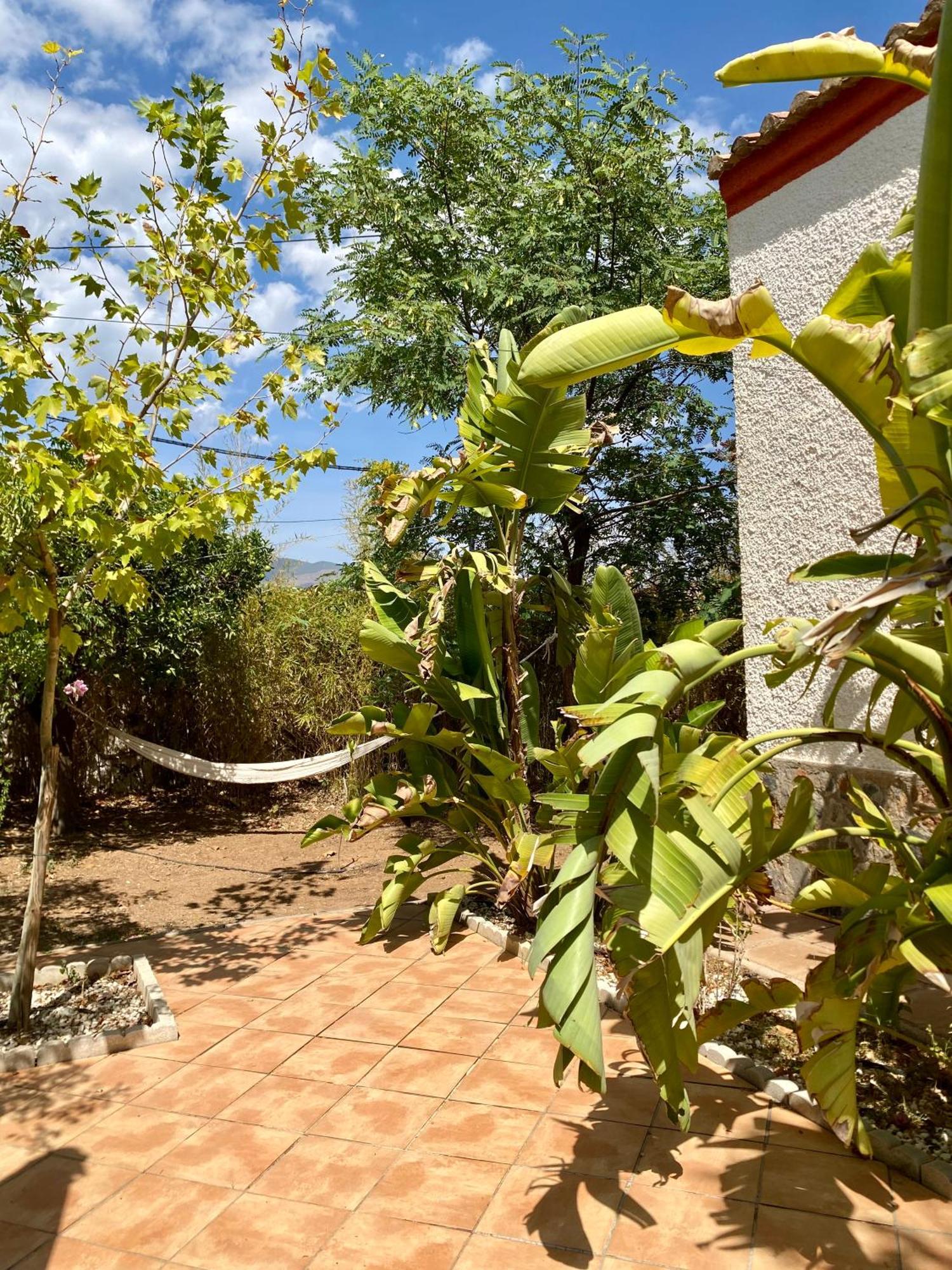 Real Fundicion De Alcora Villa Canjáyar