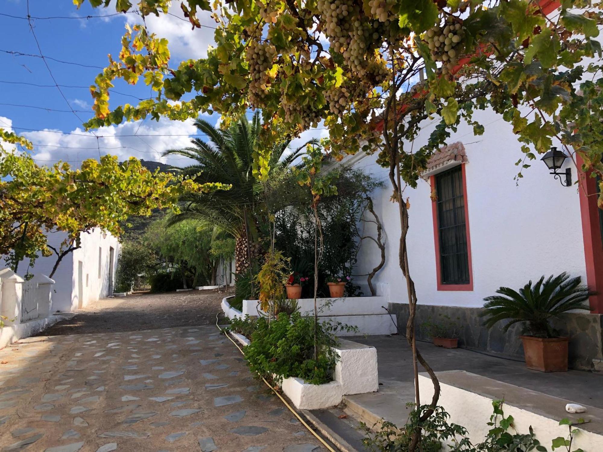 Real Fundicion De Alcora Villa