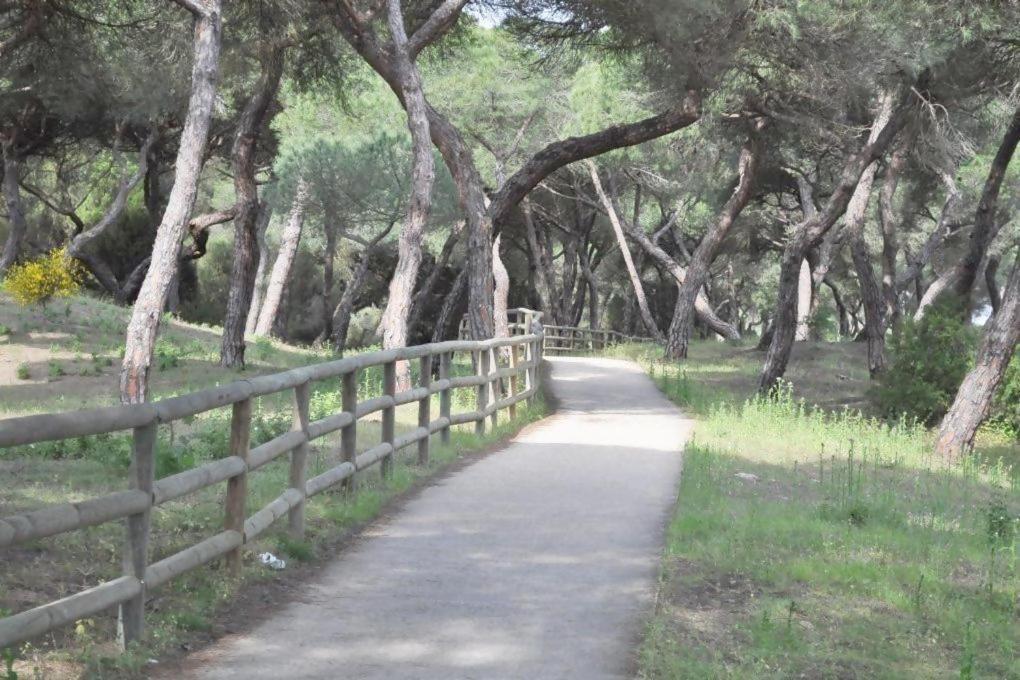Holiday home En La Misma Playa Punta Umbria