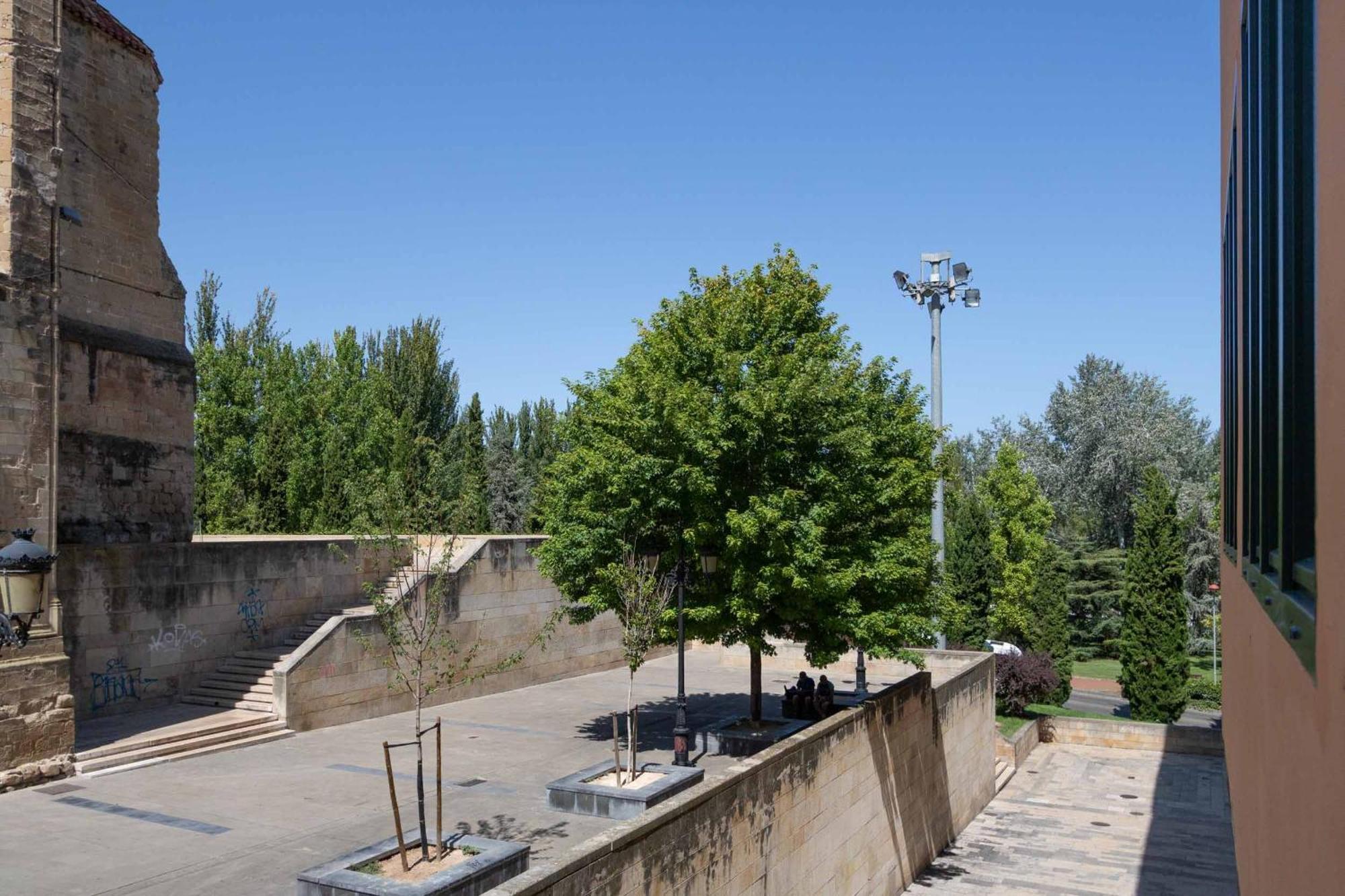 Apartment Daniela's Lovely Aire Y Wifi By