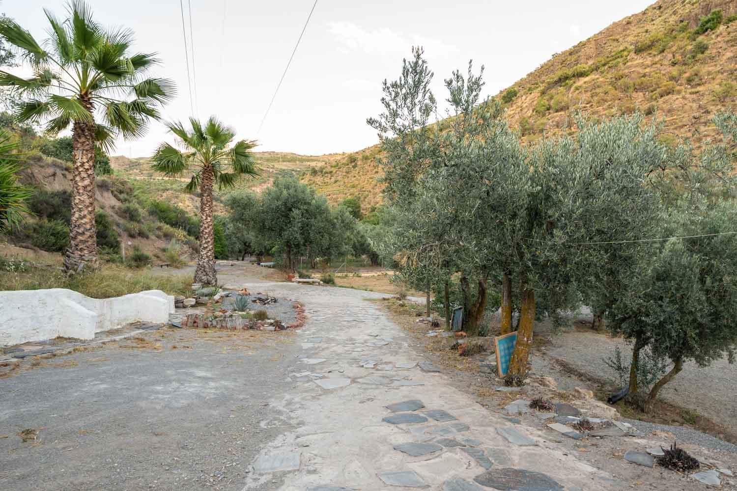 Natura Un Paraiso En La Alpujarra Almeriense