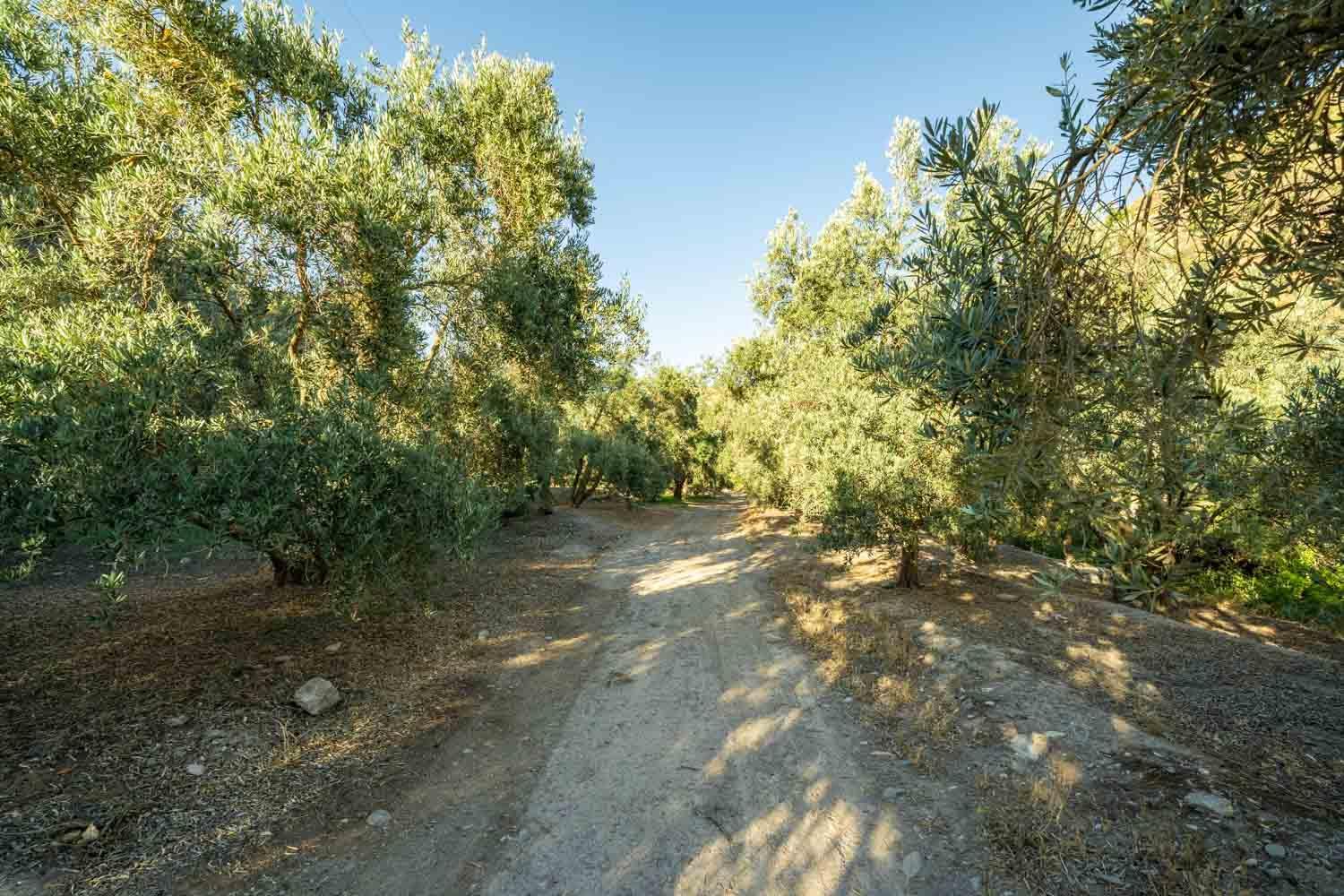 Natura Un Paraiso En La Alpujarra Almeriense * Alcolea (Almeria)