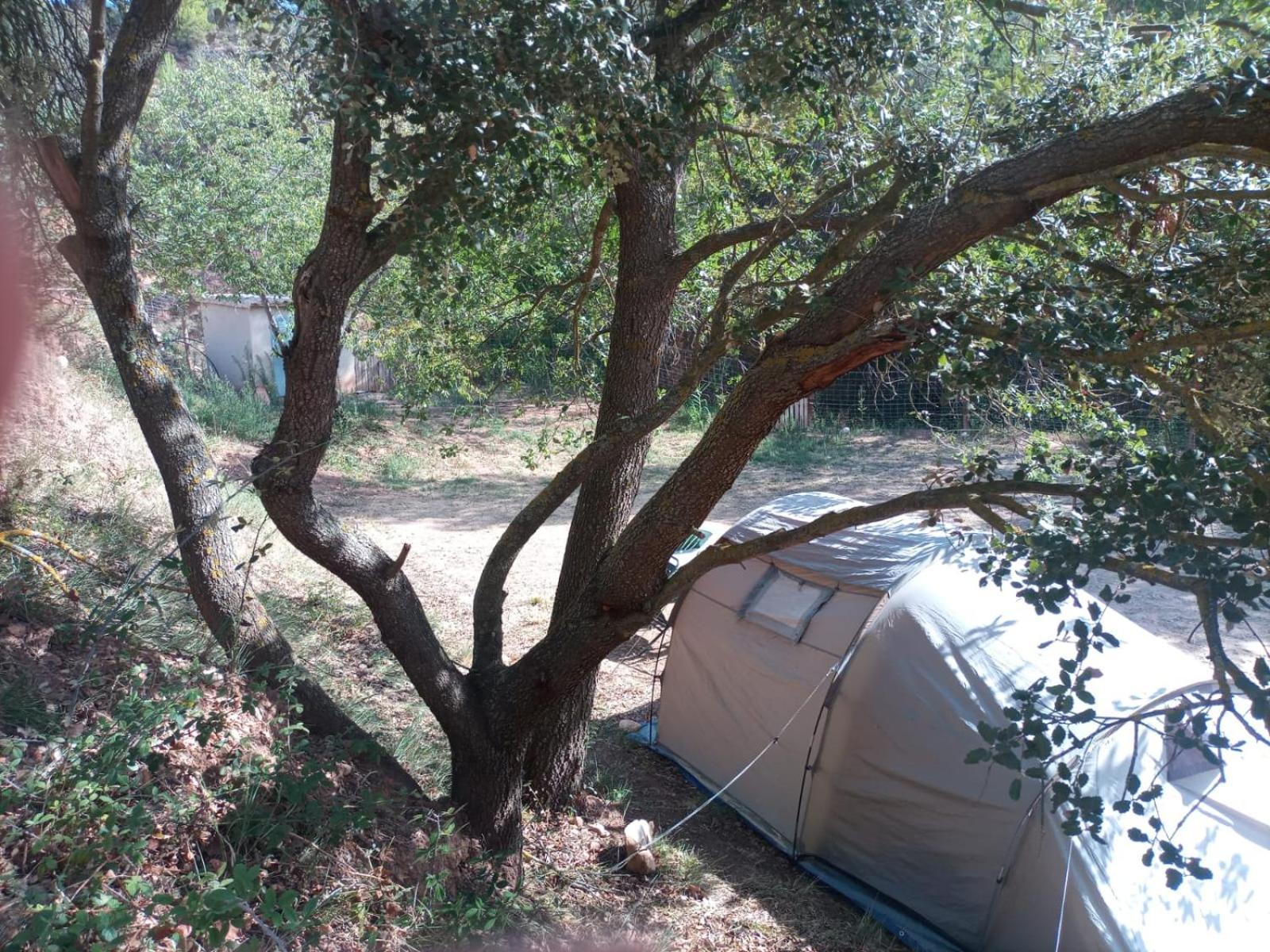 Camping El Rebost De Penyagalera