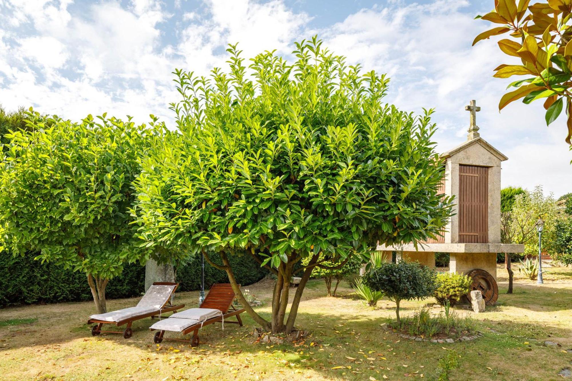 Adega Apartamento Ordes