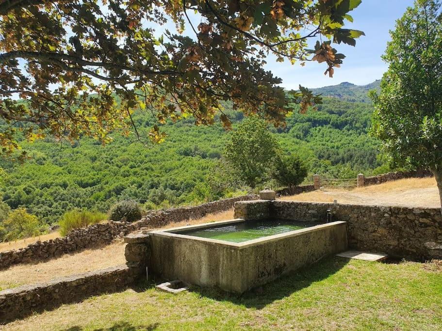 En El Monte De Bejar Chalet