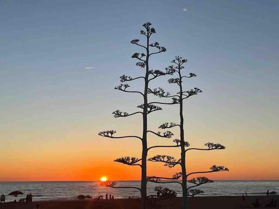 Magnifico 2 Plantas 110 M,con 3 Piscinas * San Fernando