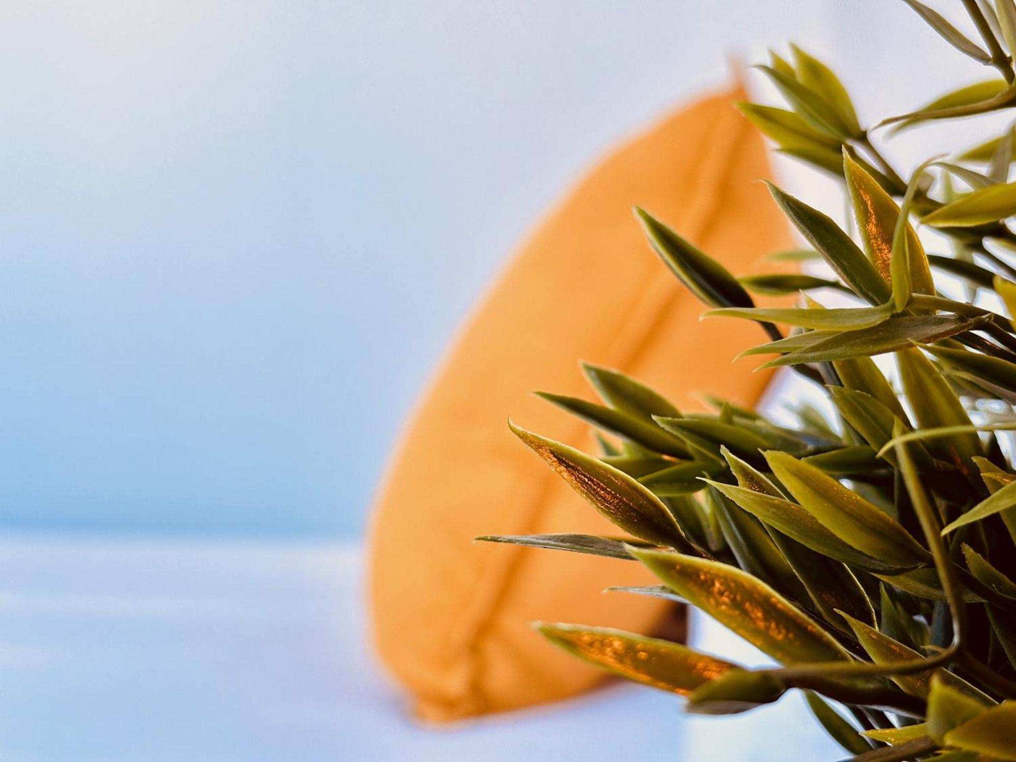 Click&guest - Canarian Essence In Gran Canaria Aldea Blanca (Las Palmas)