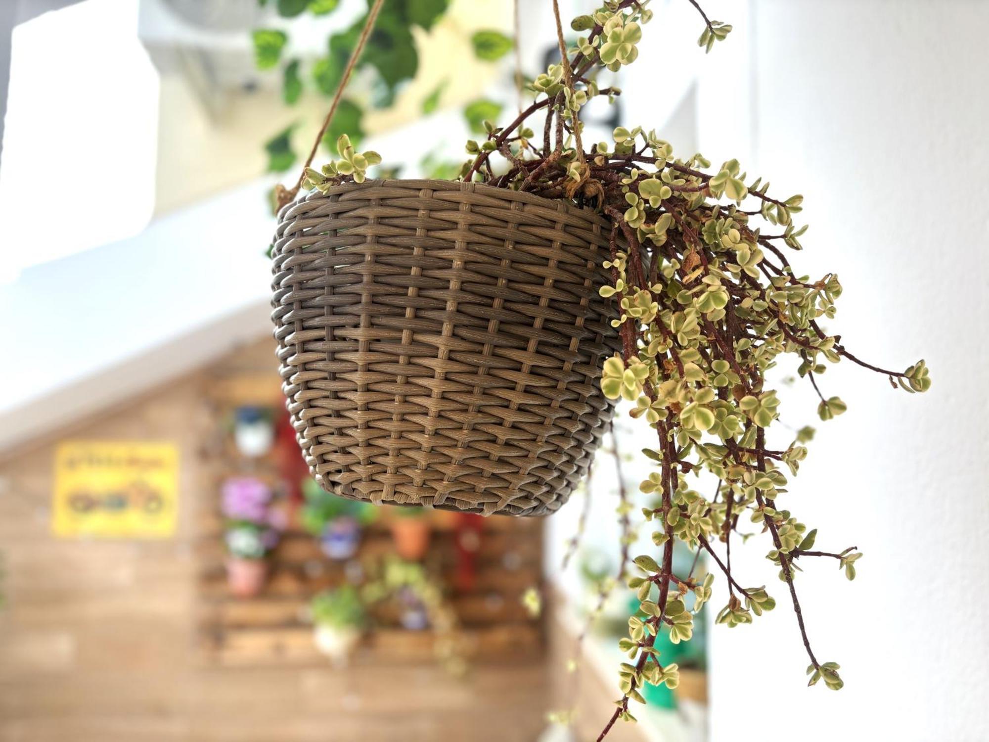 Vivienda Turistica Jaen Interior Atico * Andújar