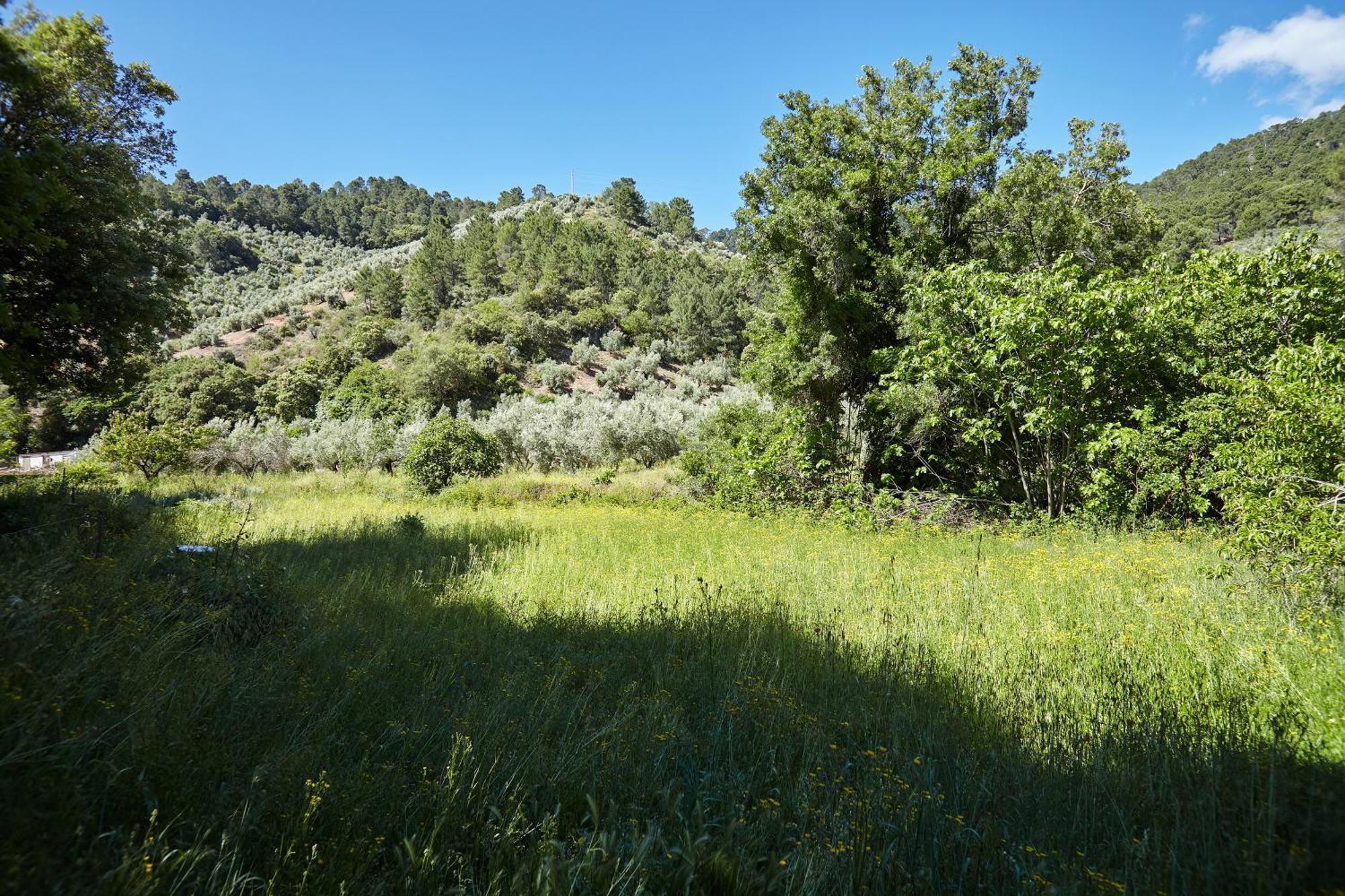 Cortijo El Soto Beas de Segura