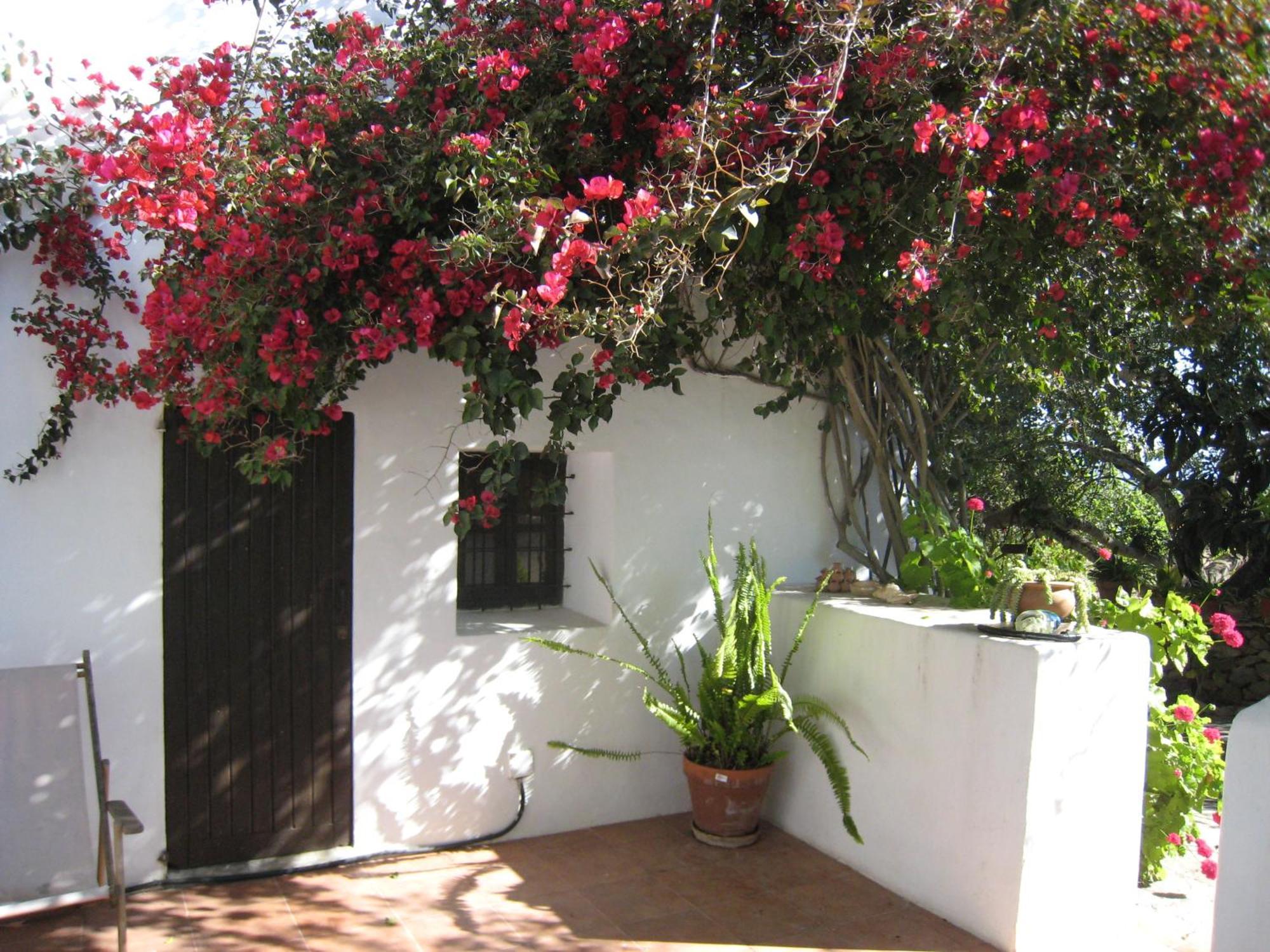 Villa Encantadora Casa Ibicenca San José