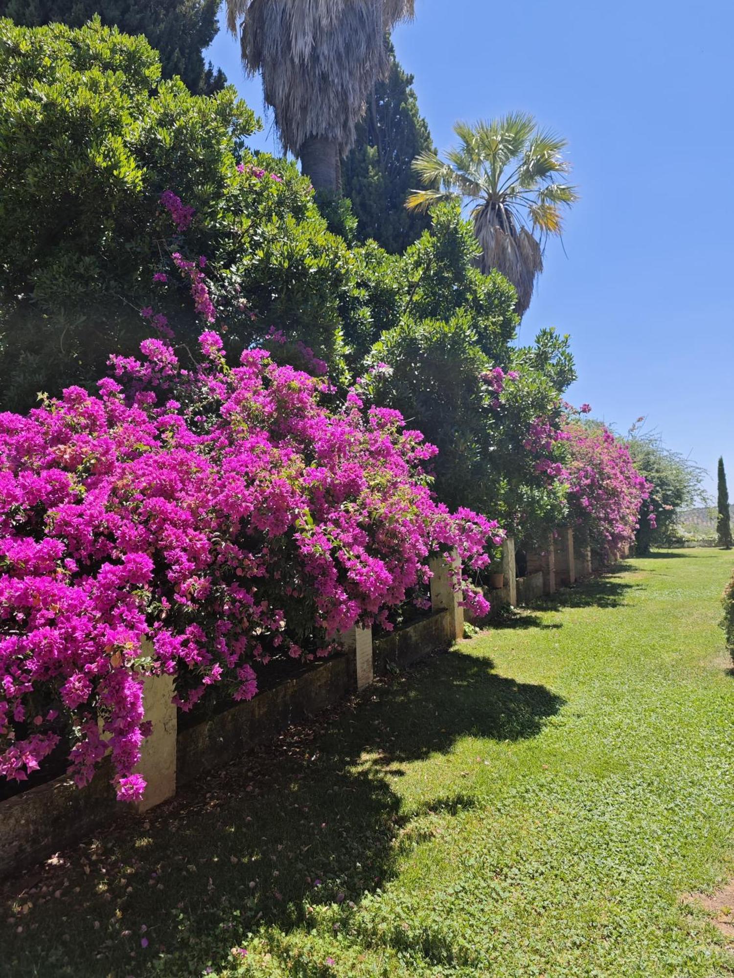 La Favorita Casa rural Constantina