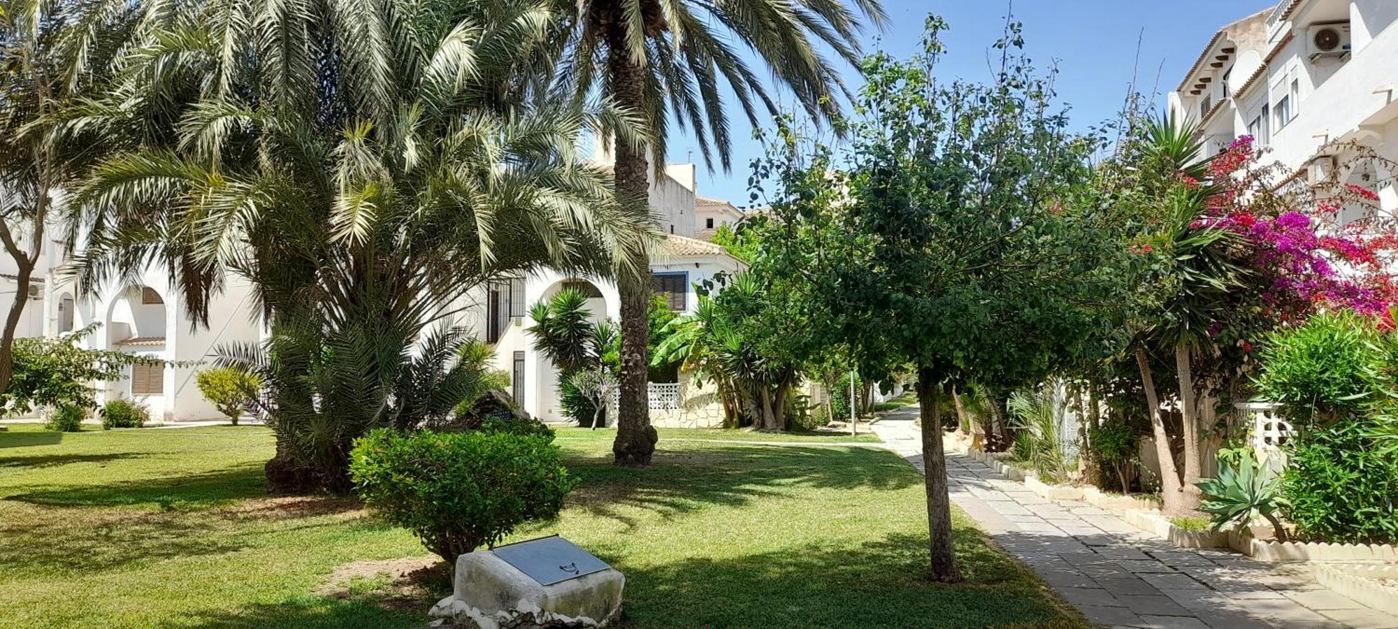 Locos With Balcony And Wi-fi Torrevieja