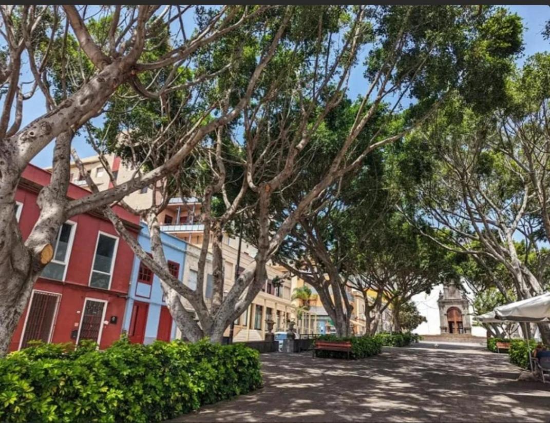Casa Tina Holiday home Guimar