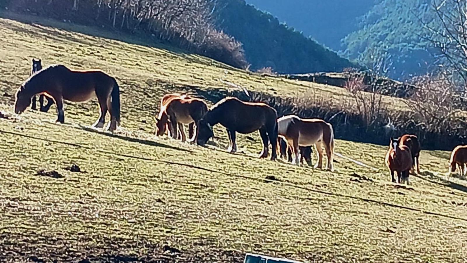 Espectacular De Montana Pirineos, Holiday home Burg