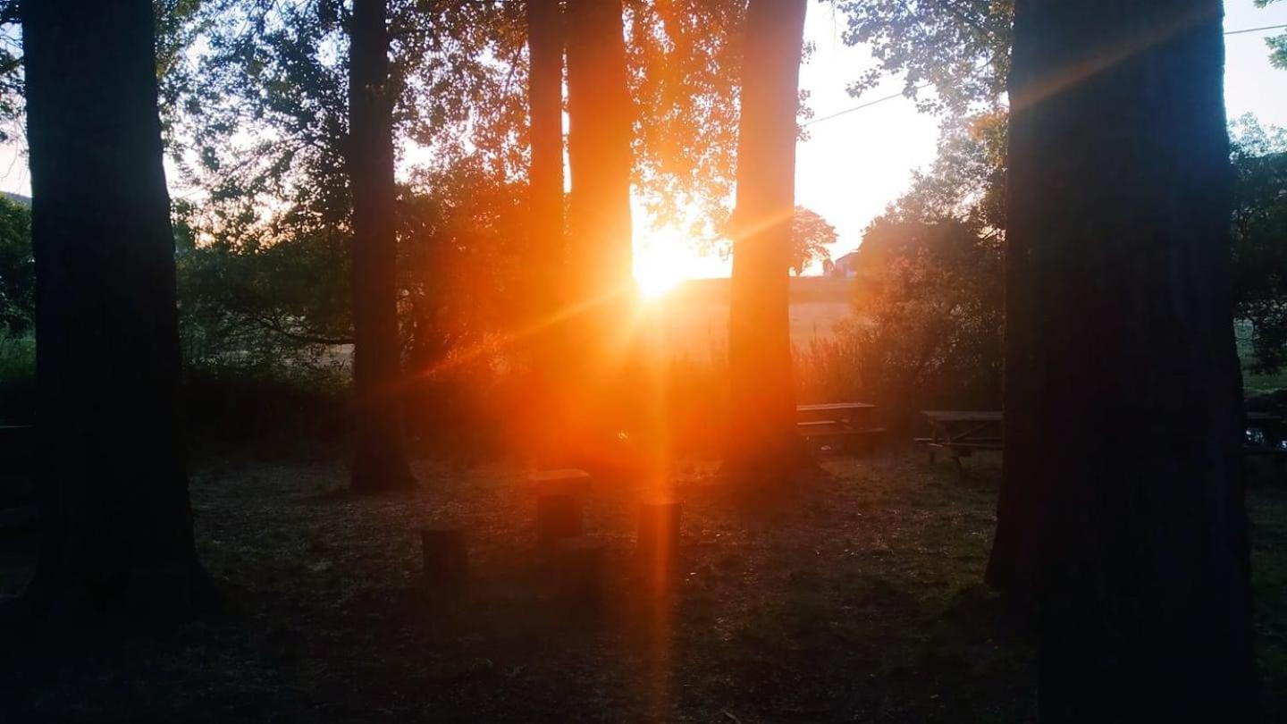 El Pinsapo