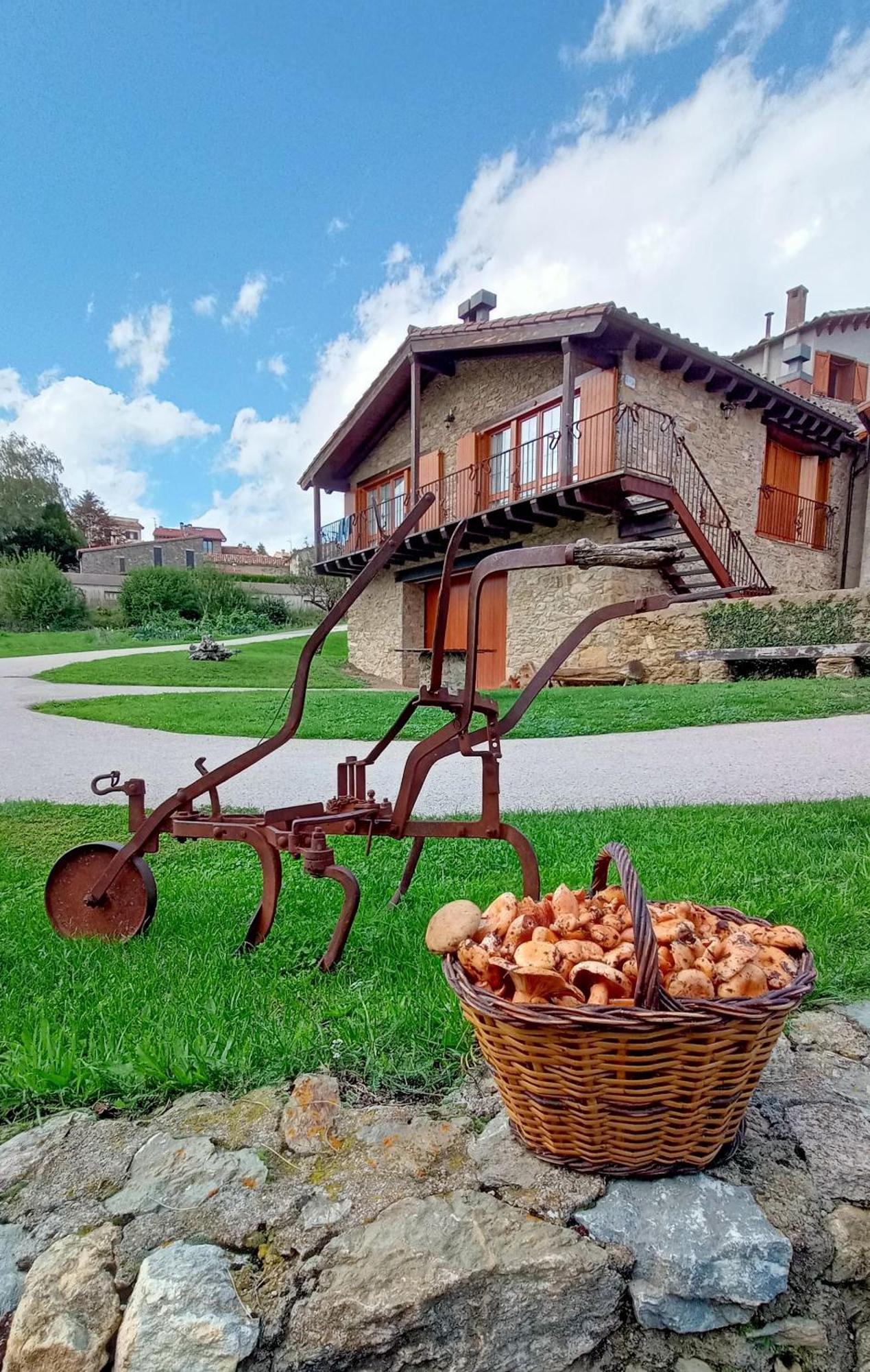 Tubau - - Casa rural