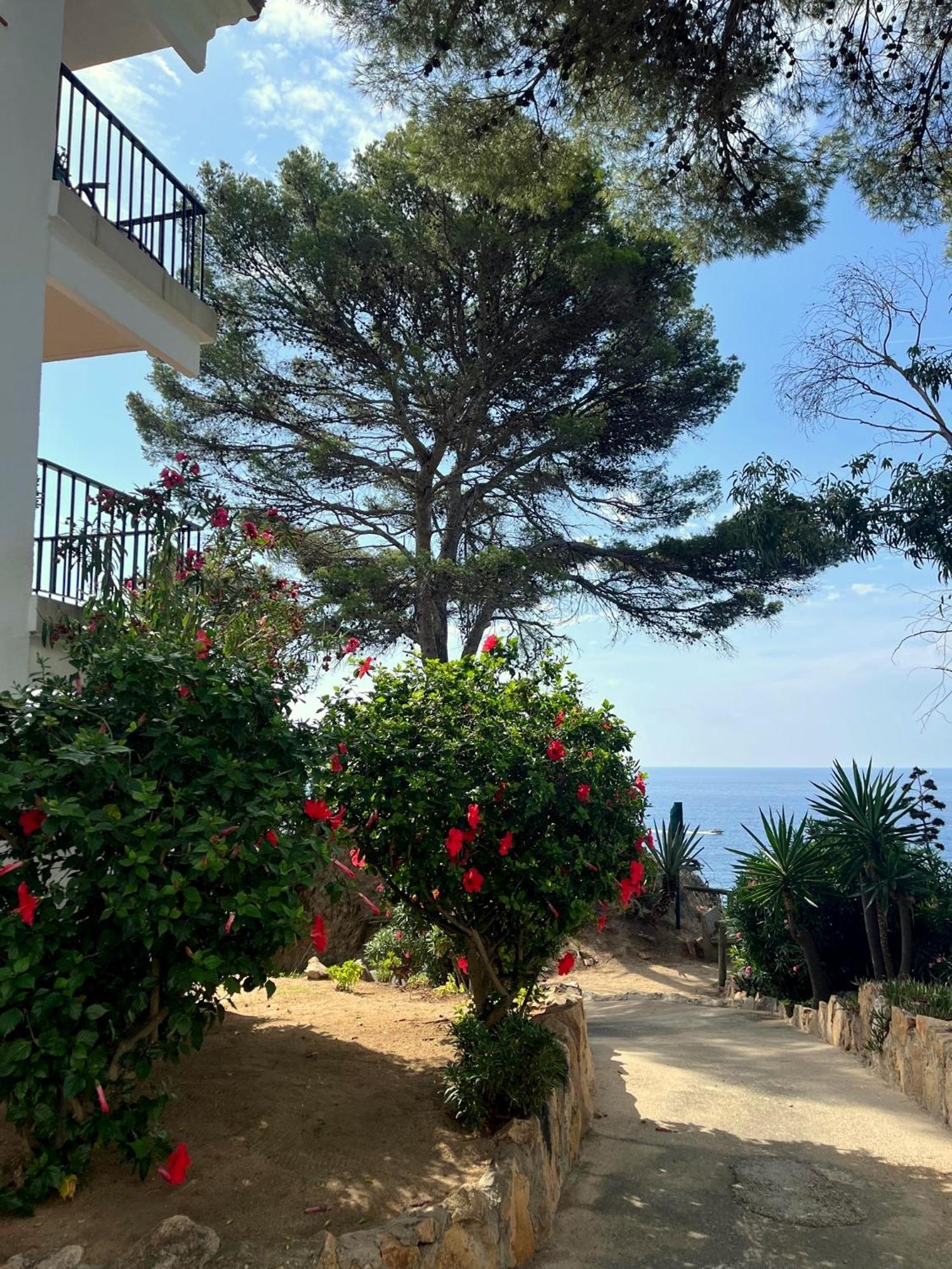 Les Terrasses De Cala Llevado Apartment