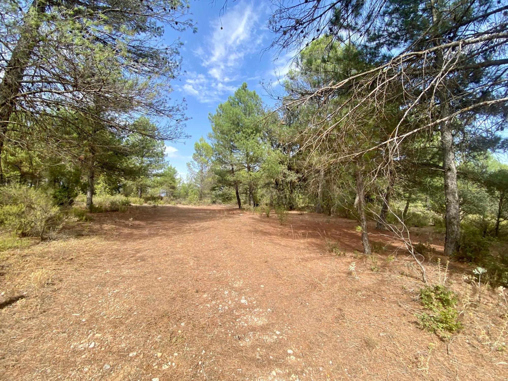 Sanz Cuenca (Castilla-La Mancha)