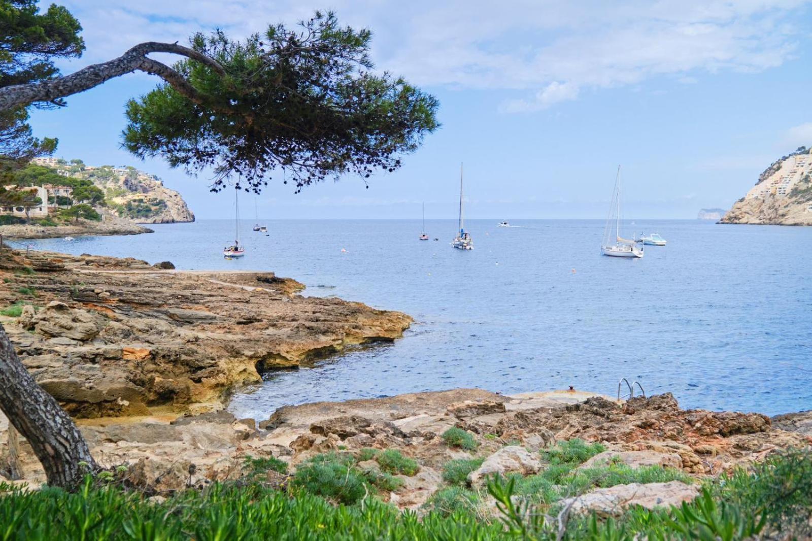 Villa Seldwyla Puerto de Andratx