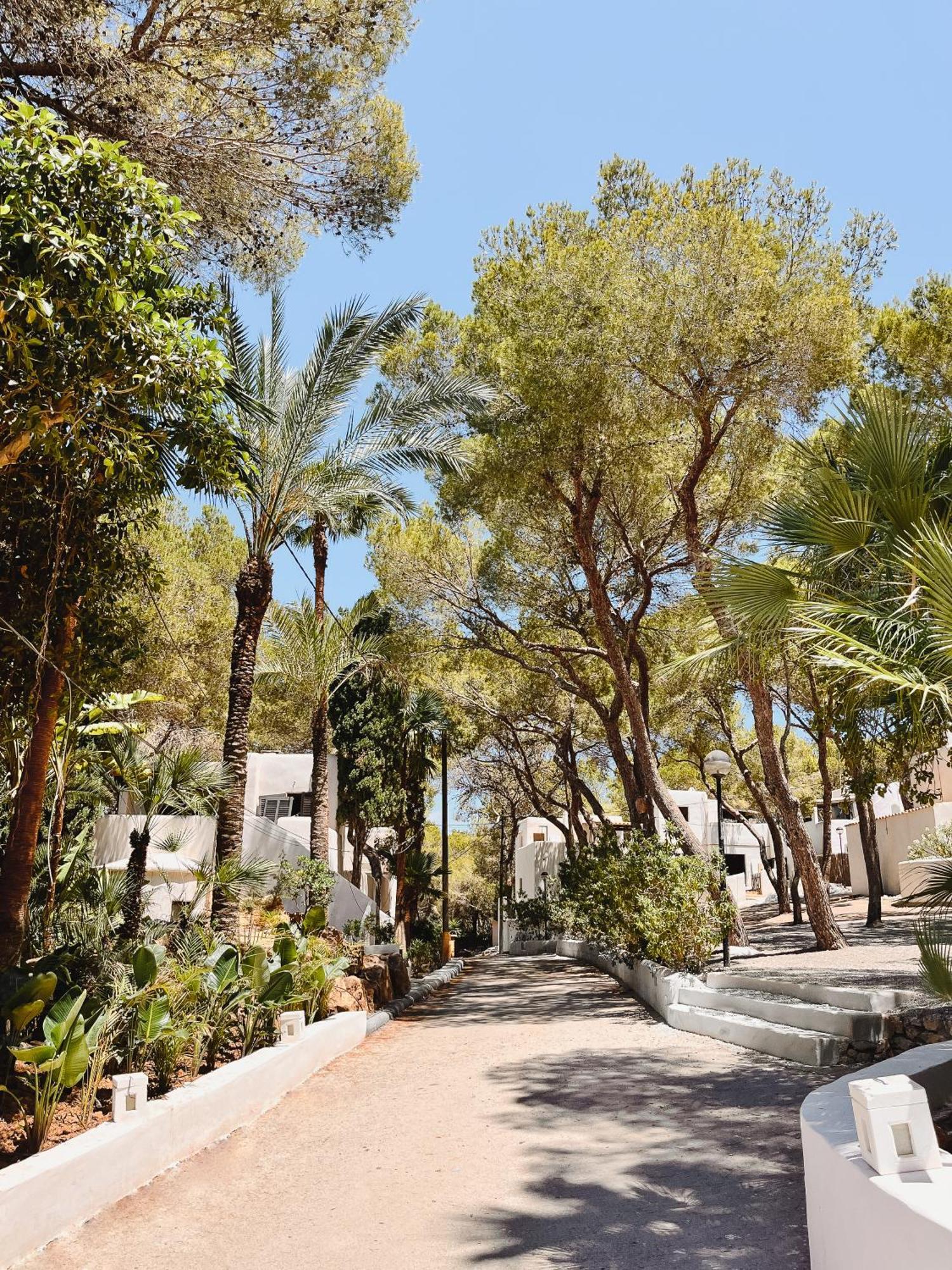 Fergus Style Punta Arabi Es Canar (Ibiza)