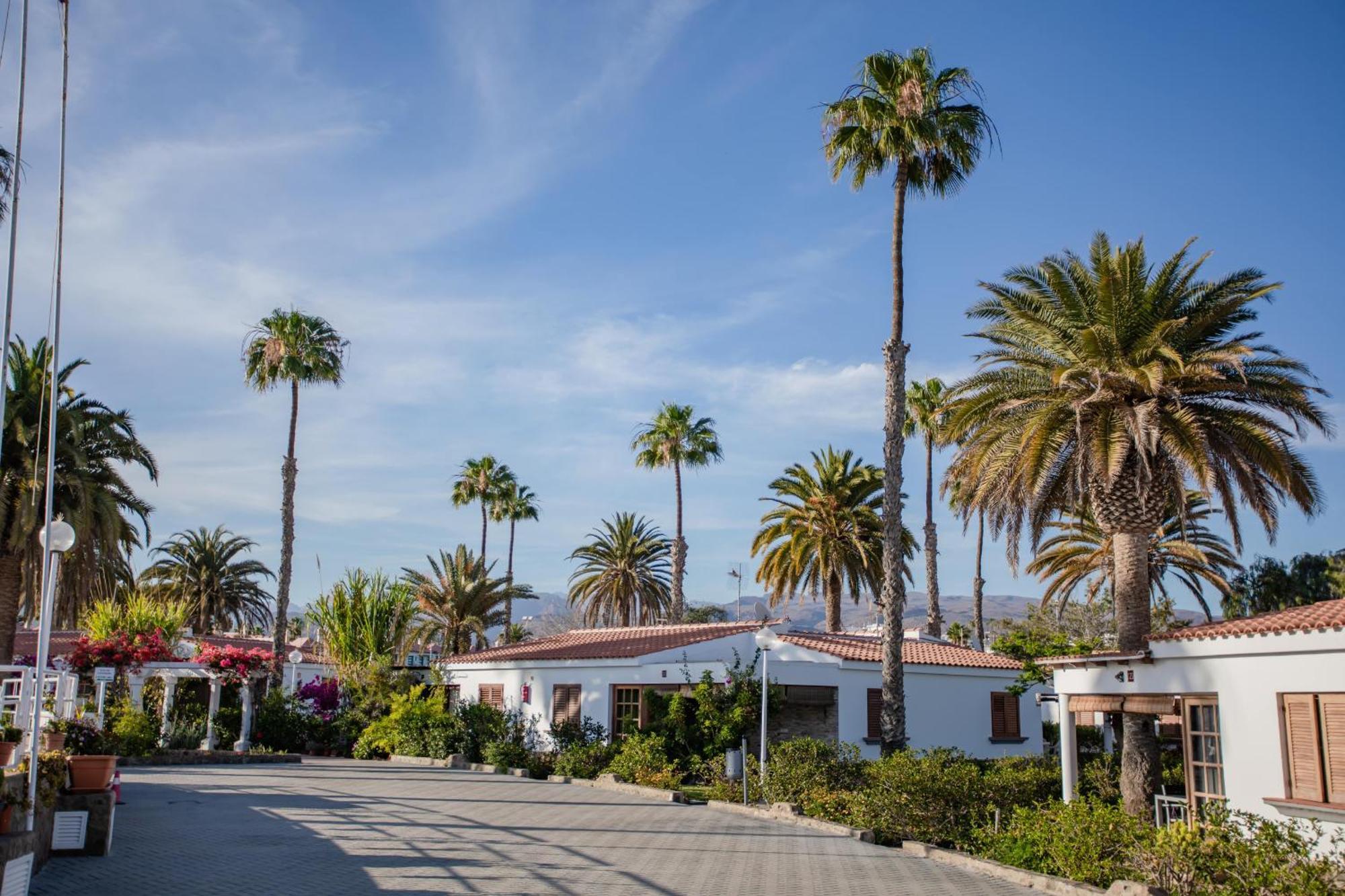 Deluxe Vegas Golf - By Gestion Vacacional Canarias Apartamento *
