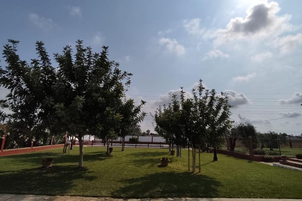 Finca Campo Alegre * Utrera