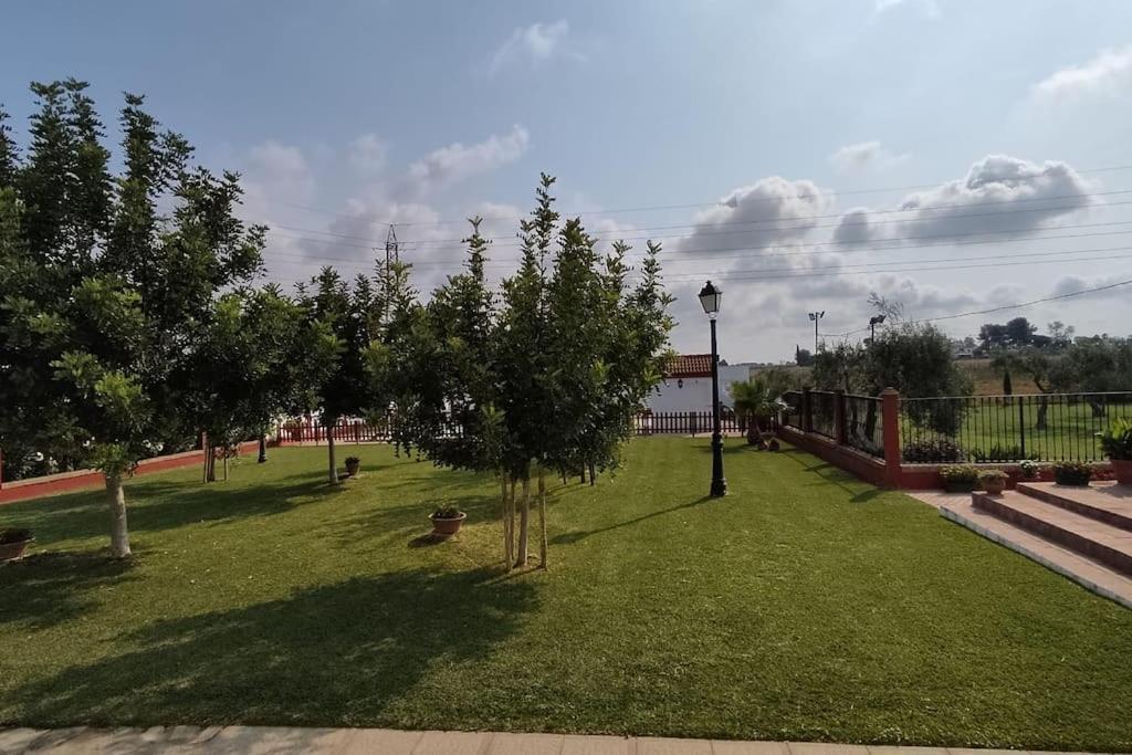 Finca Campo Alegre