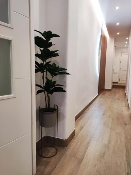 Sierra-sol Apartamento *