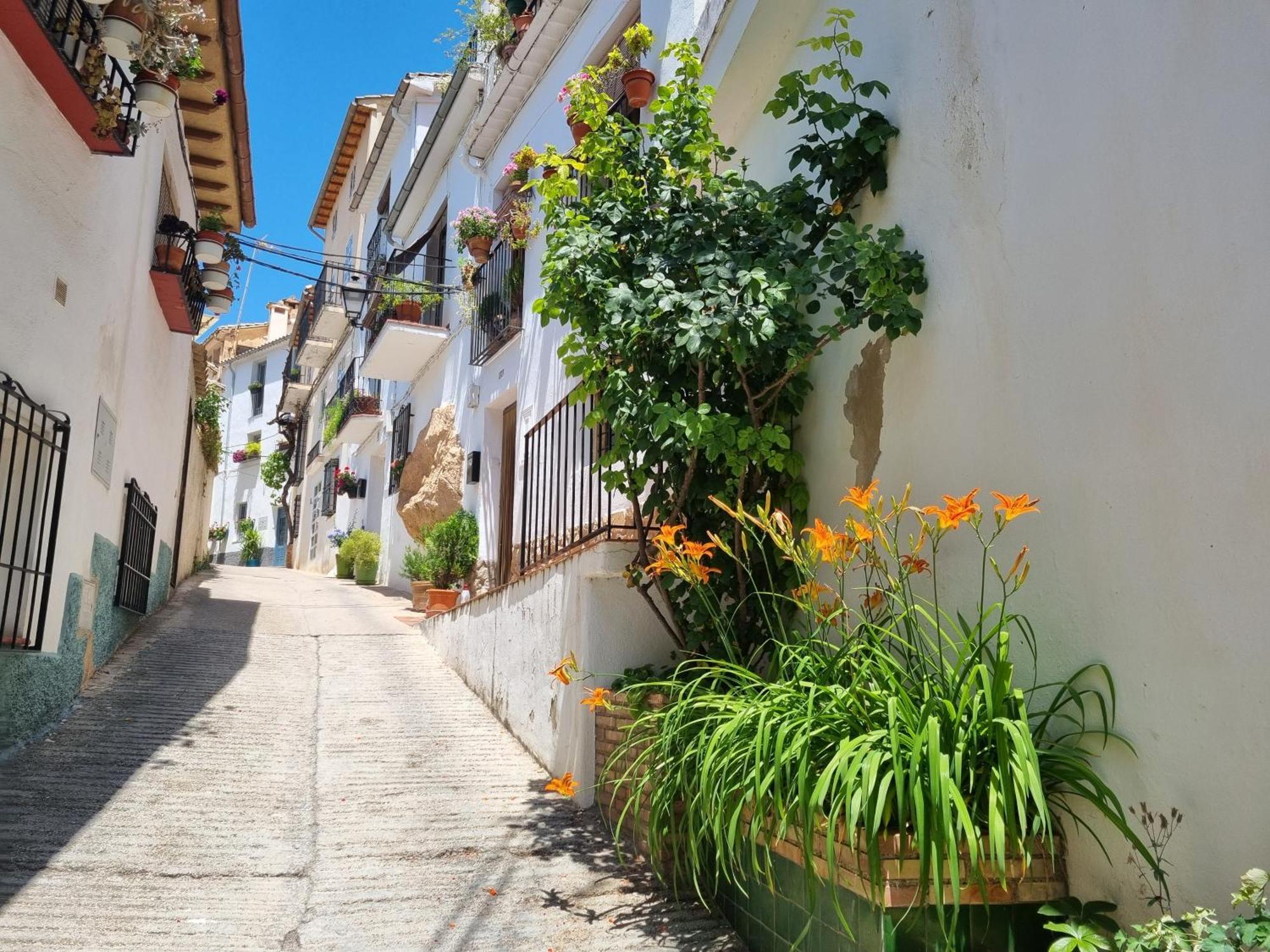 Сasa de vacaciones Casita *