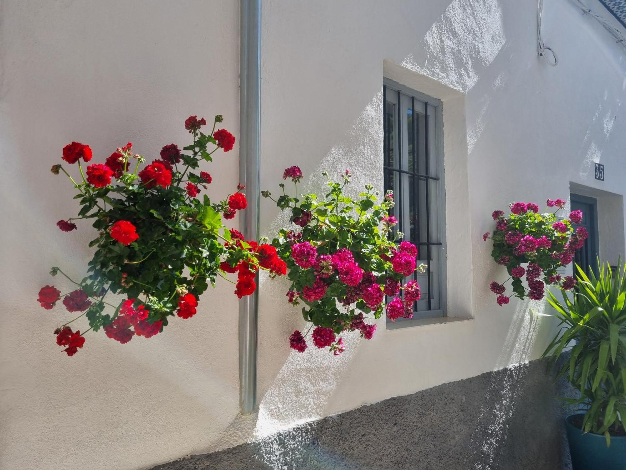 Casita Сasa de vacaciones Cazorla