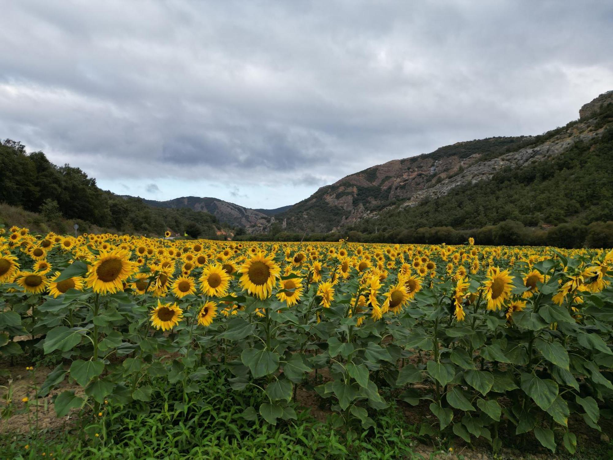 Country house Rural Rio Molinar