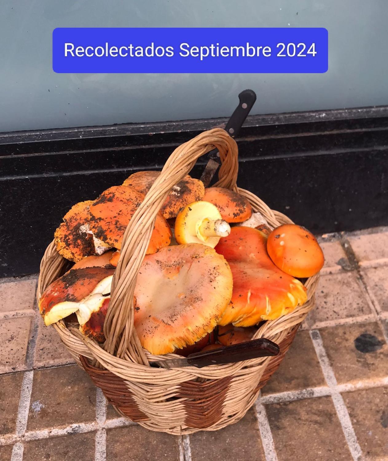 El Descanso De Hadas
