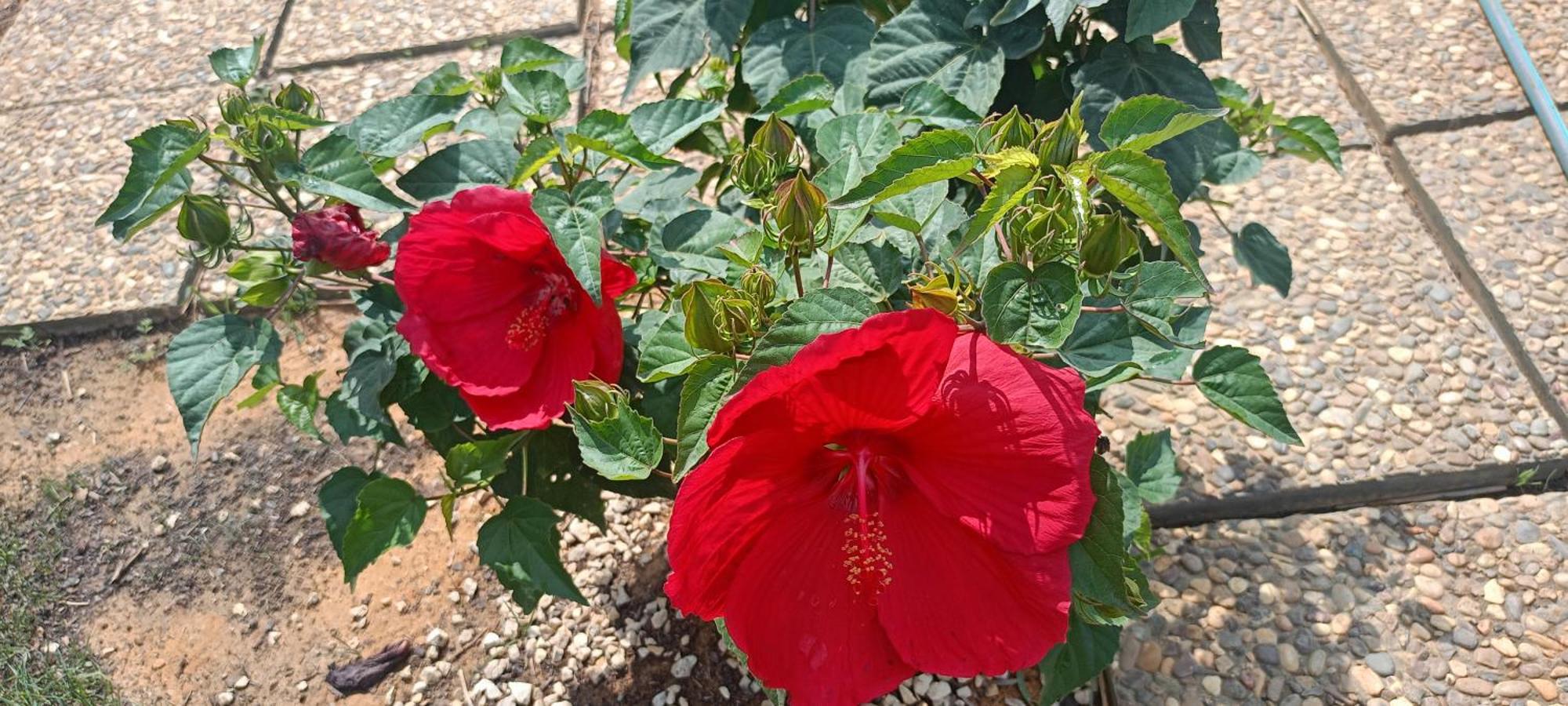 Vive El Verano En Sancti Petri - Casa Acogedora