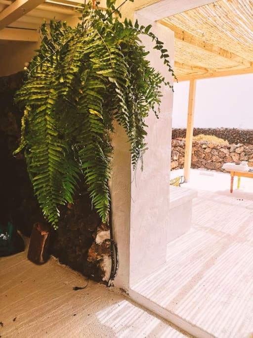 Estudio Con Bano Privado Apartamento *