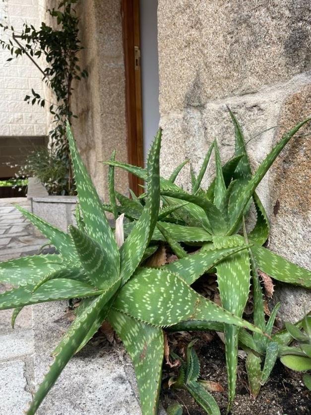 Сasa de vacaciones O Lar Do Bispo Arbo