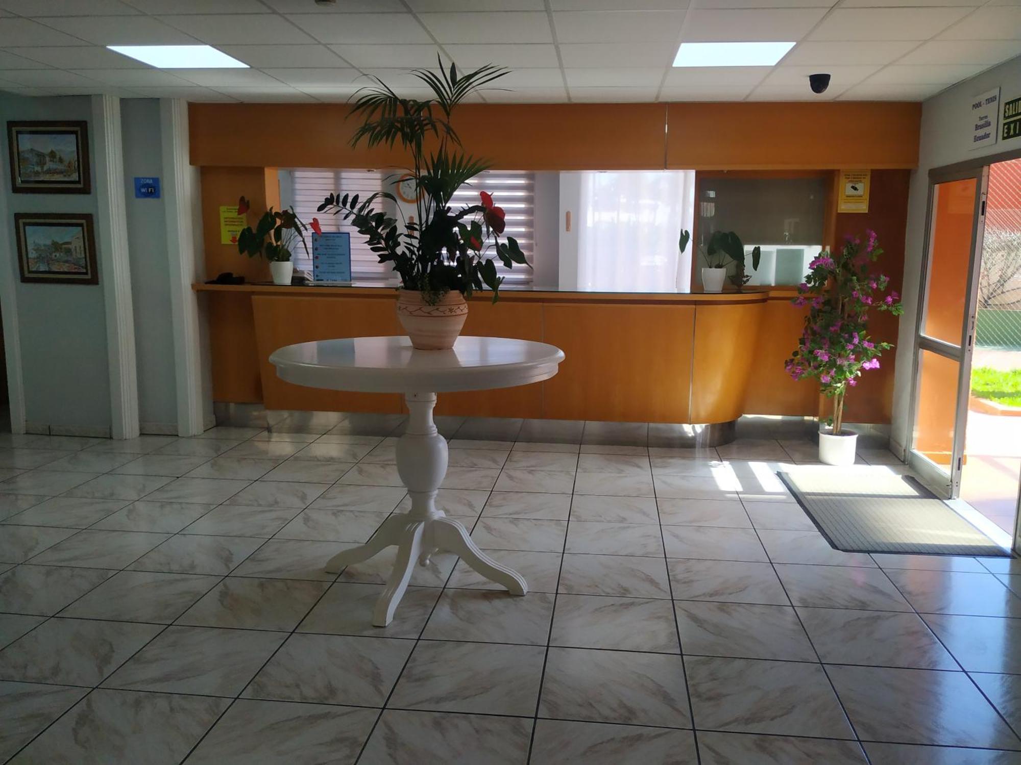 Apartment Hibiscus Luz Apartamento Puerto de la Cruz (Tenerife)