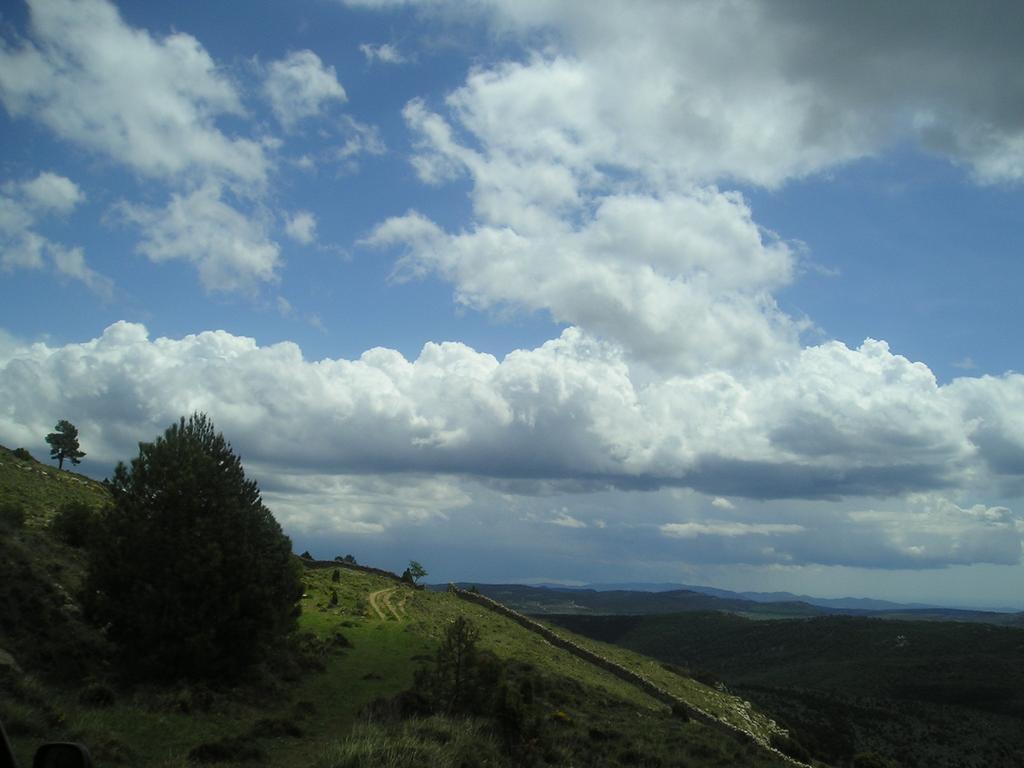 Naturaleza Apartamento