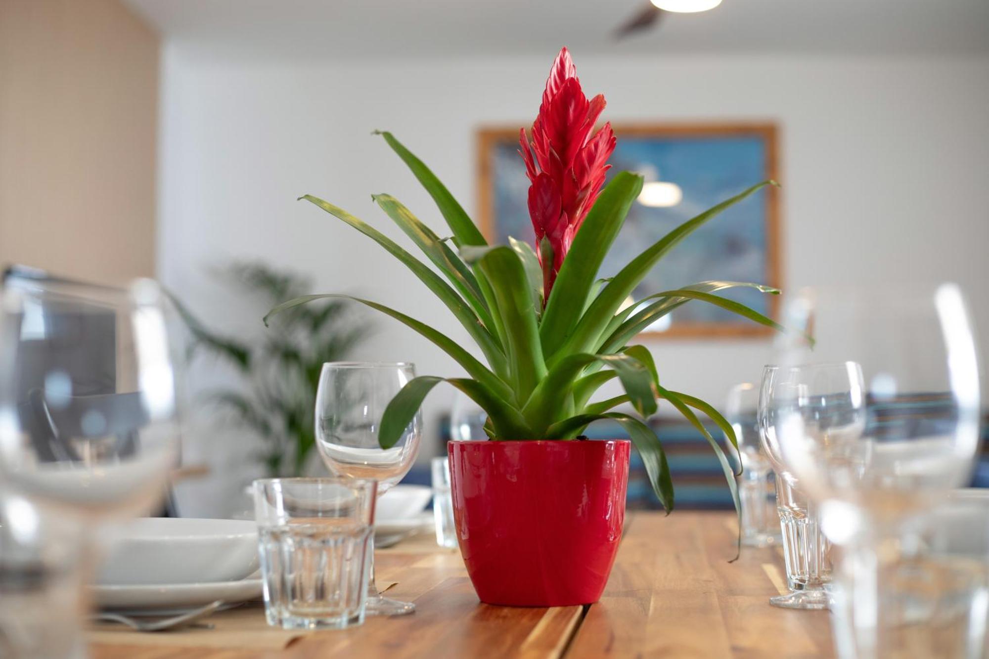 House Apartamento