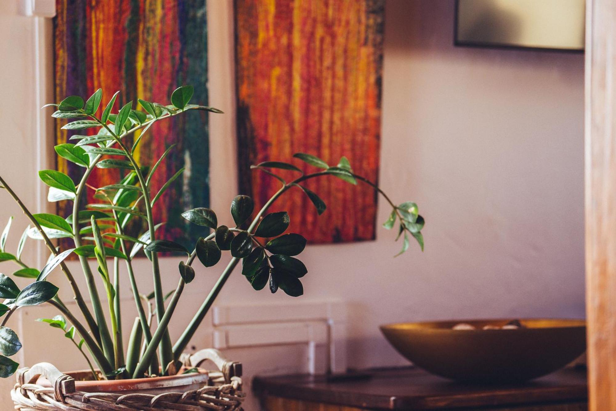 Casa Natura Bed & Breakfast