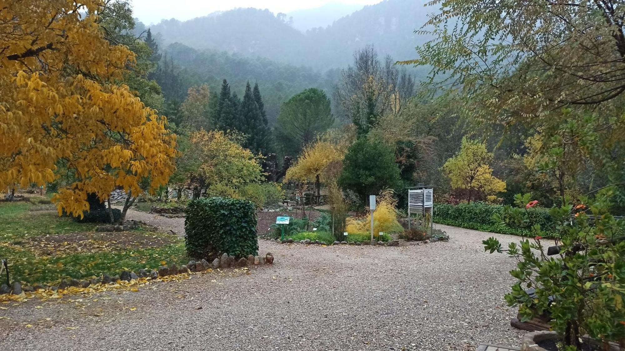 Bellavista *