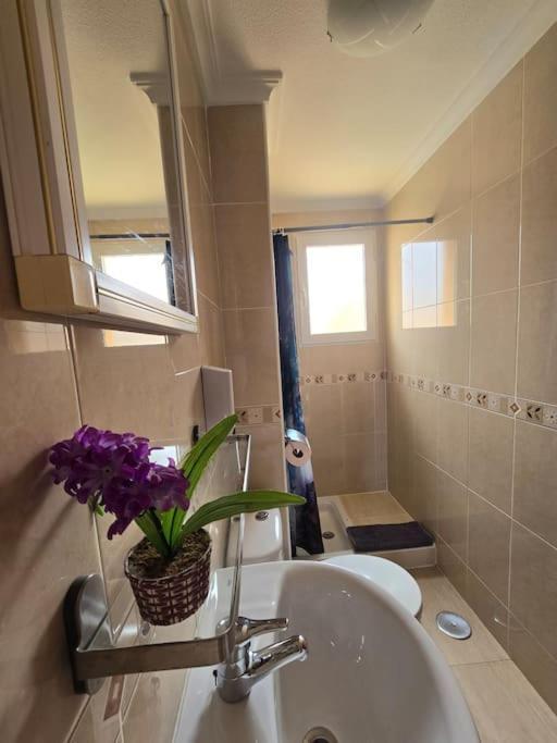 Apartamento Carina