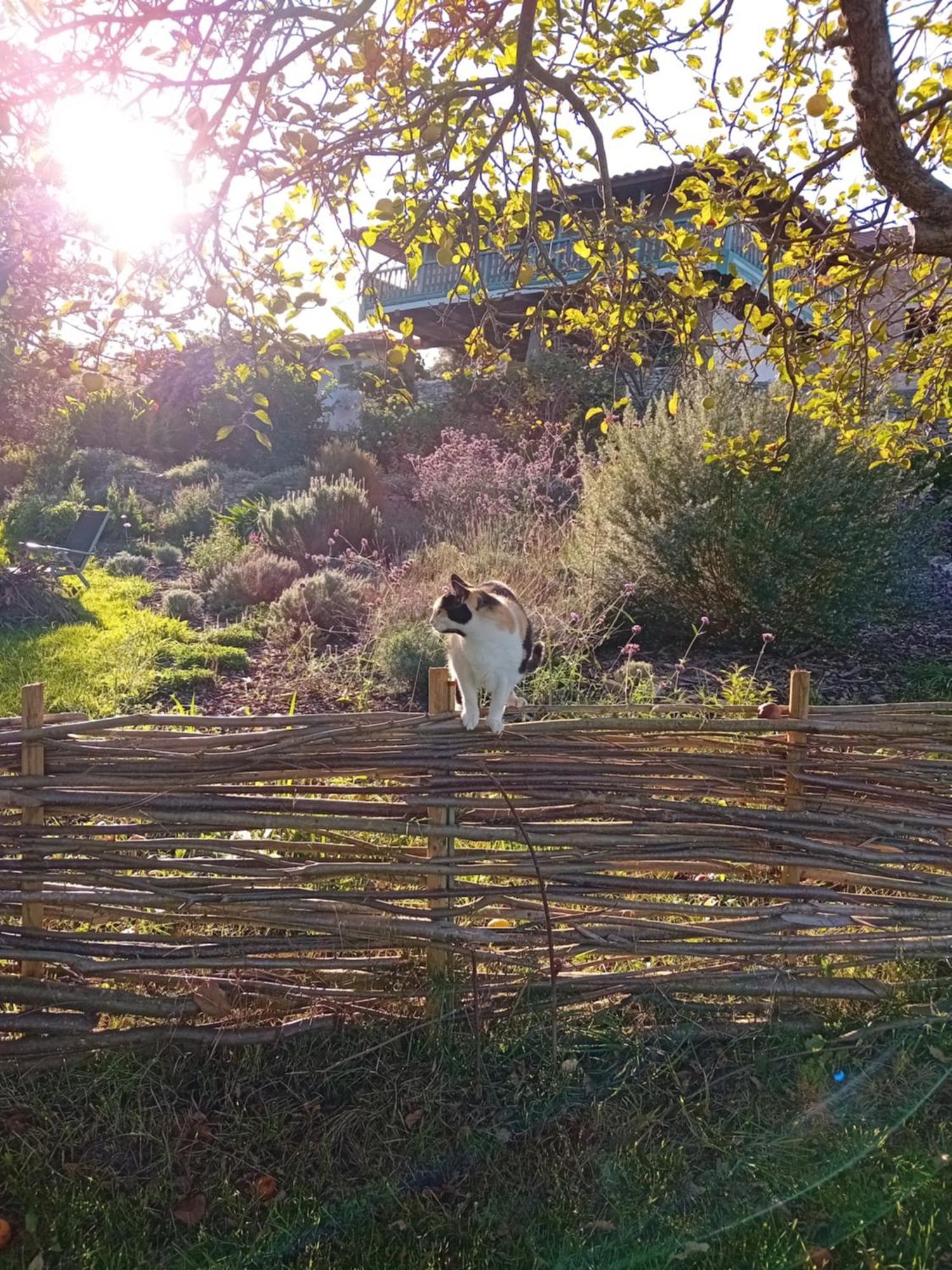Holiday home Paca Casa Rural. Arts And Landscape In Asturias *