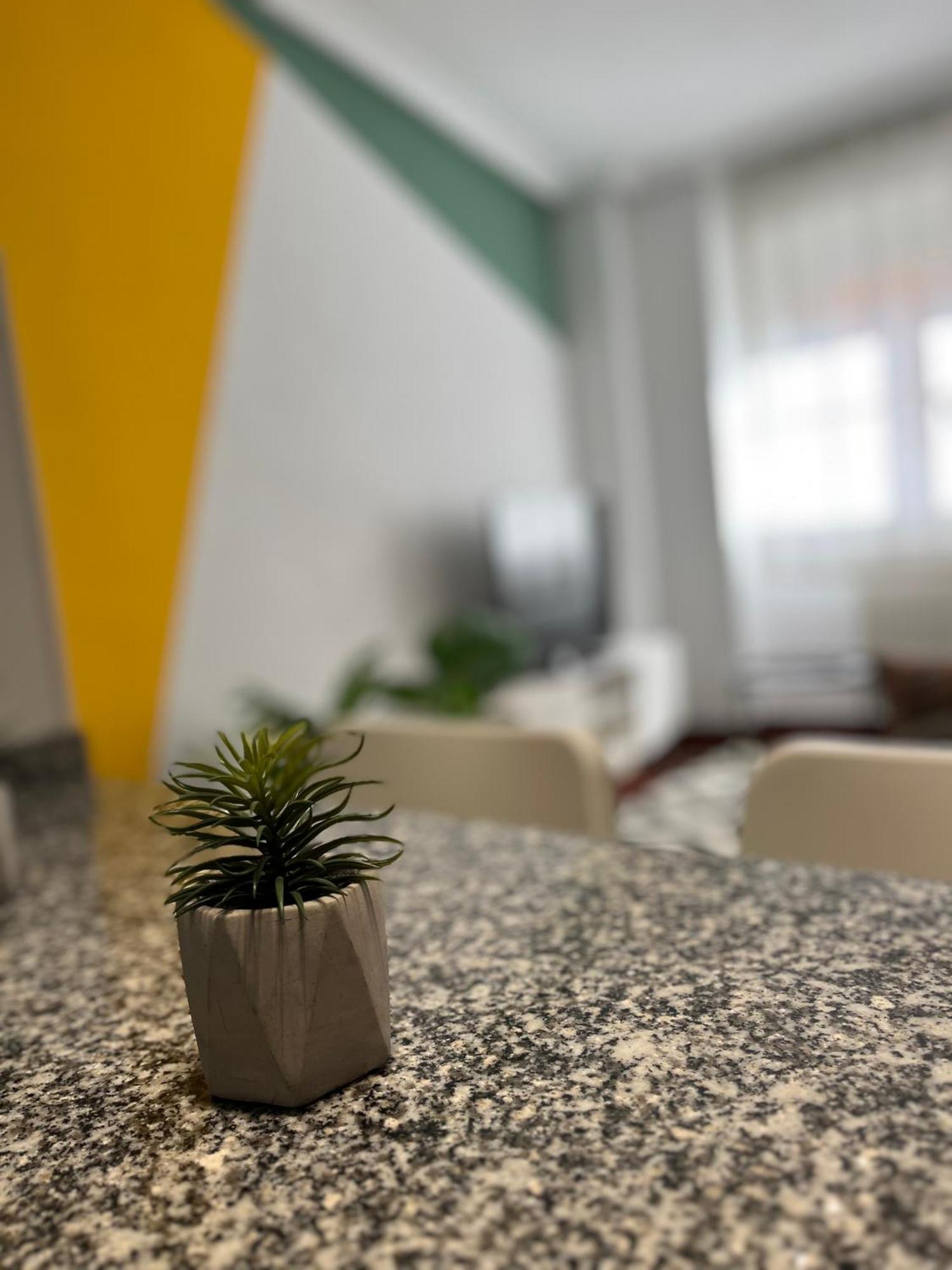 Apartamento 630a Apto Moderno Y Equipado Oviedo
