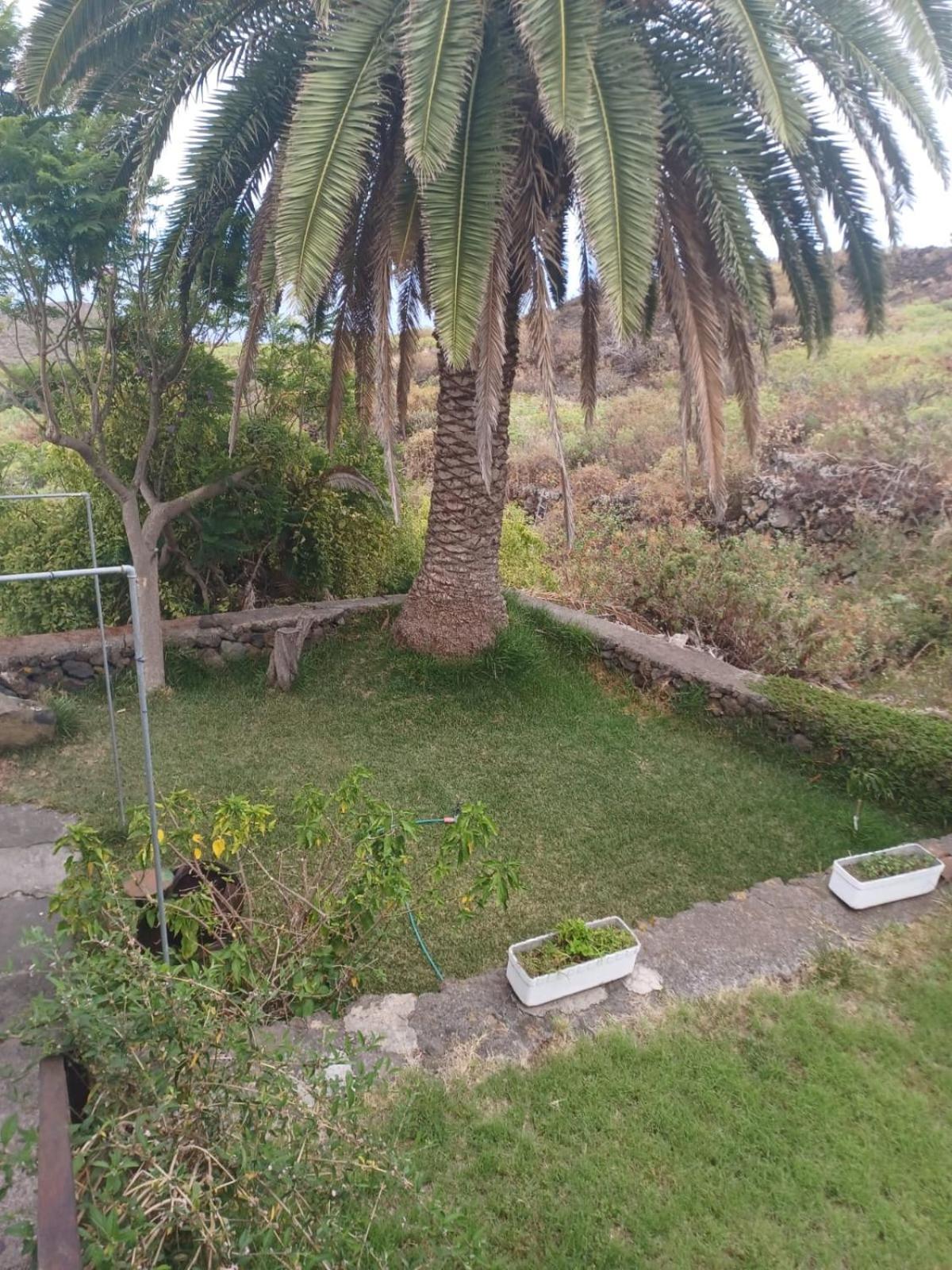 El Olivo De Holiday home *
