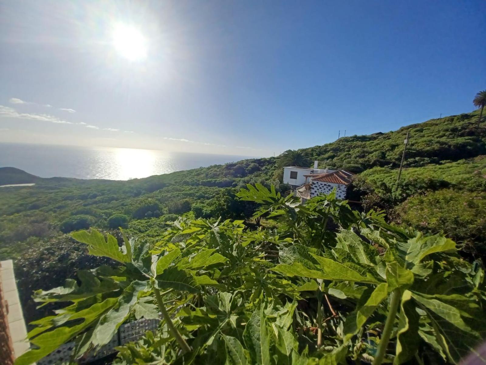 El Olivo De Holiday home Villa de Mazo