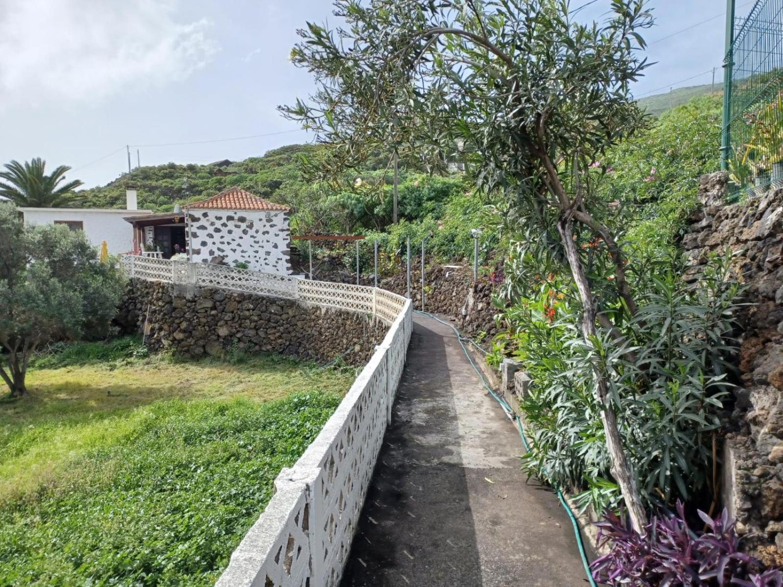 El Olivo De Villa de Mazo