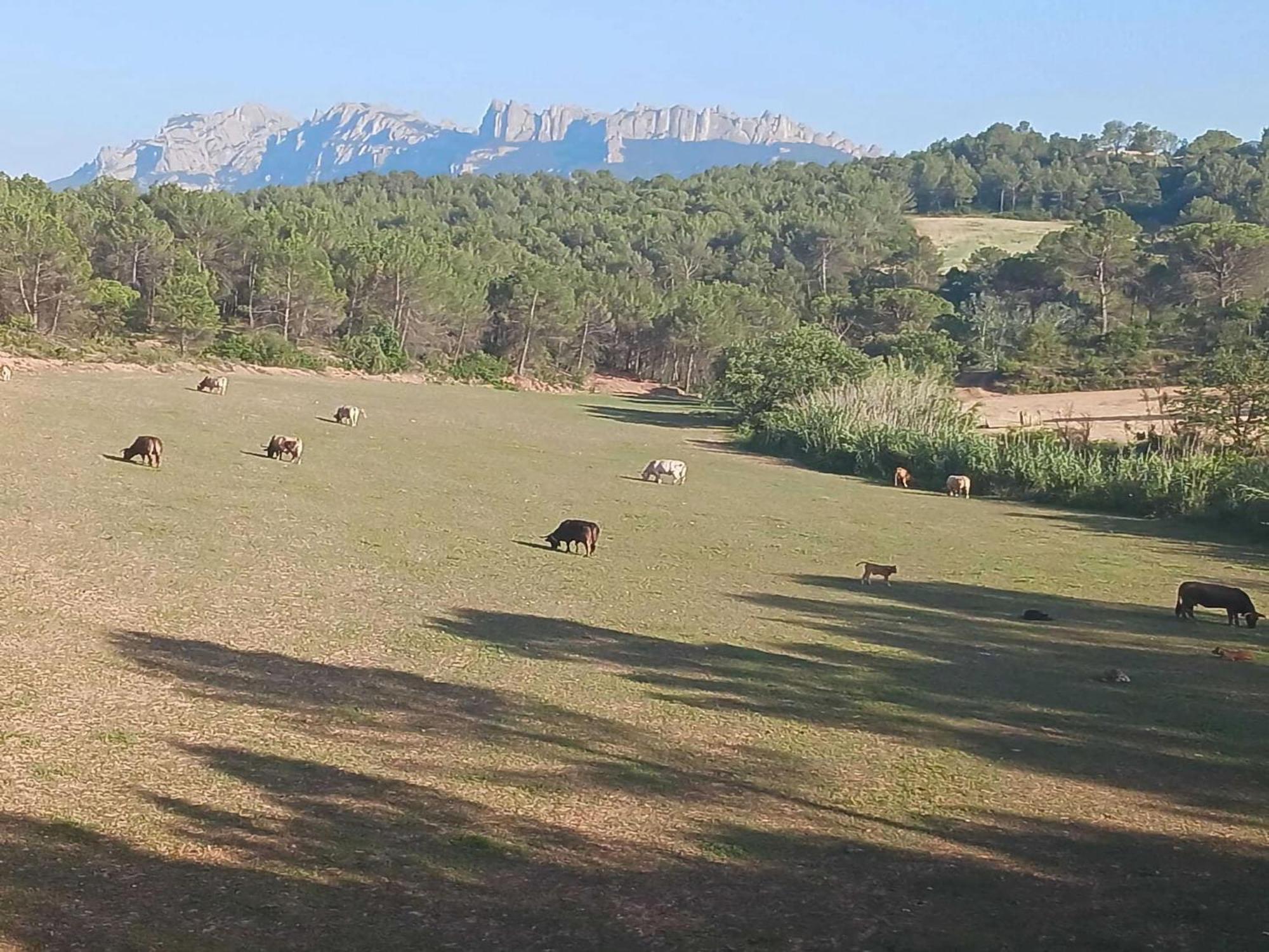 Luxurious In Sant Salvador De Guardiola