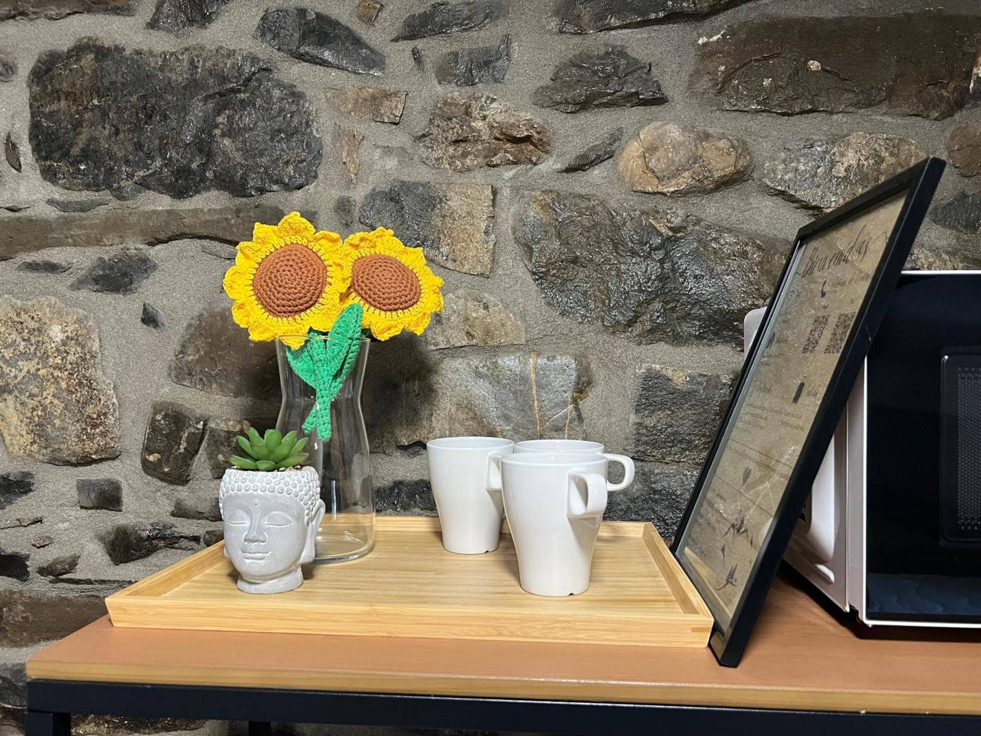 Casa Girasol Biescas (Aragon)