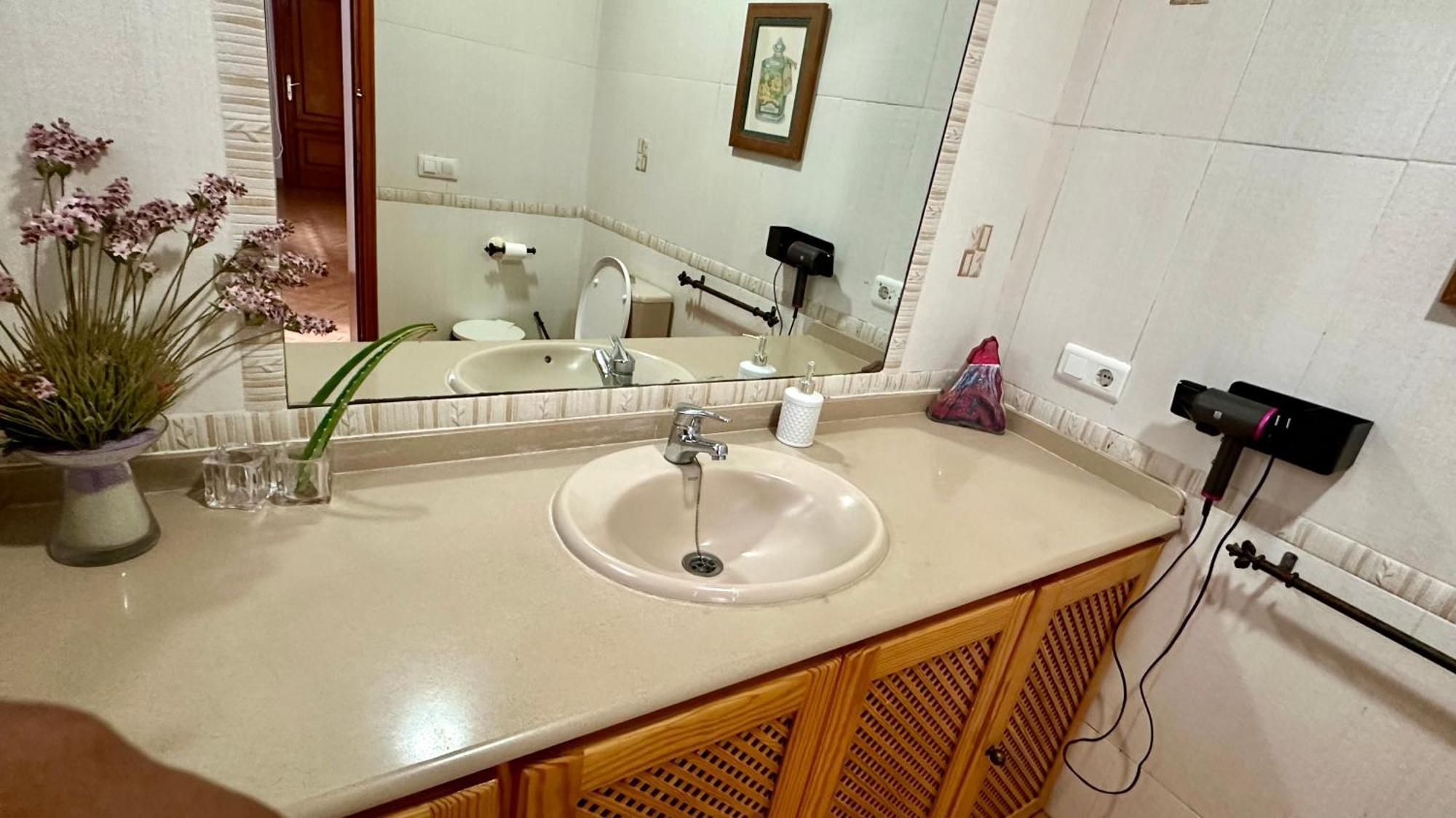Guest house Casa Rozita *