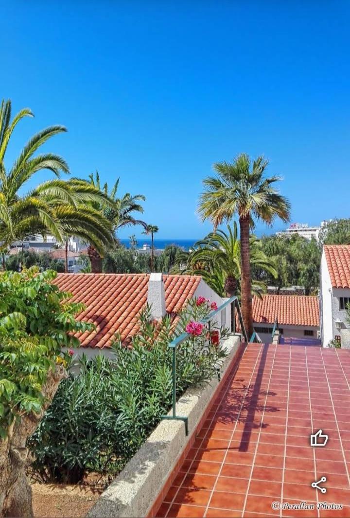 Apartamento Paradero Las Americas Con Jardin Apartment Playa de las Americas (Tenerife)